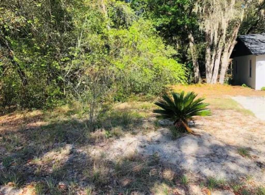 OAKRIDGE DRIVE, LADY LAKE, FL — photo 3 of 3