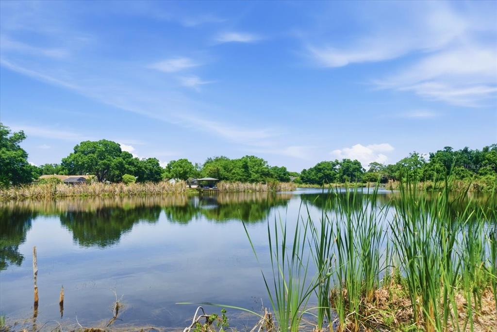 A view of a calm pond surrounded by lush green trees and tall reeds — 8901 S MOBLEY ROAD, TAMPA, FL