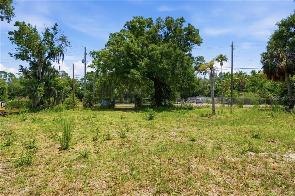 A grassy, undeveloped lot features a large central tree and a chain-link fence — 8901 S MOBLEY ROAD, TAMPA, FL