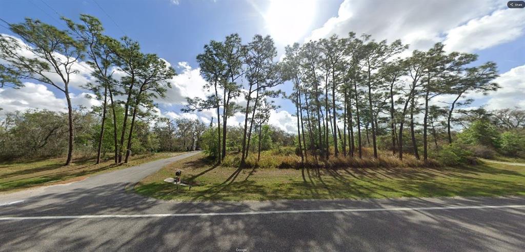 A vacant, grassy lot with scattered pine trees sits next to a paved road — COMMONWEALTH AVENUE N, POLK CITY, FL