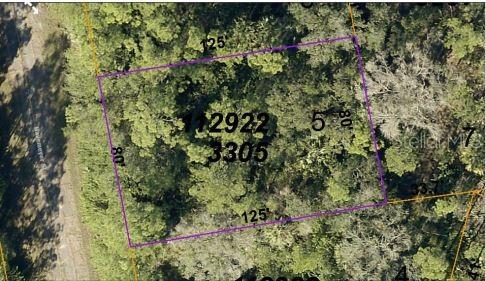 This is an aerial map showing the rectangular property boundaries of a wooded residential lot — HAVEMEYER STREET, NORTH PORT, FL