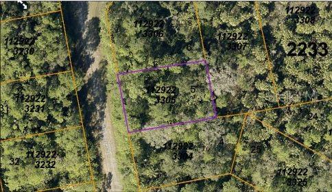 This is an aerial map showing a rectangular plot of land outlined in purple — HAVEMEYER STREET, NORTH PORT, FL