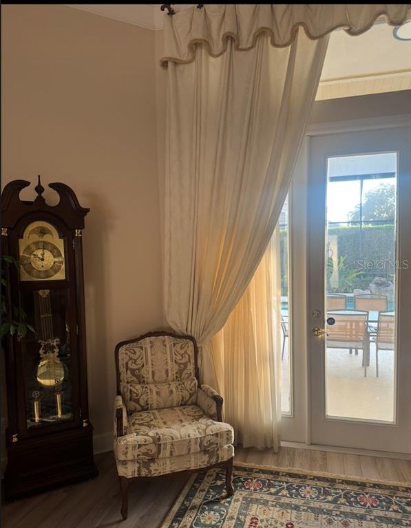 A grandfather clock stands next to an upholstered chair and a curtained glass door — 10020 HONEY TREE COURT, ORLANDO, FL