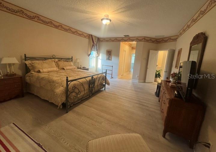 A spacious bedroom features a metal bed frame, light wood-look flooring, and decorative wall trim — 10020 HONEY TREE COURT, ORLANDO, FL