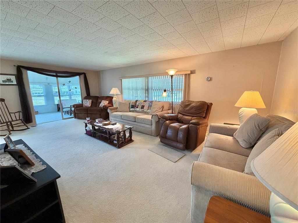 A living room features beige carpet, a drop ceiling, multiple sofas, and a sliding glass door — 223 HAWTHORNE BOULEVARD, LEESBURG, FL