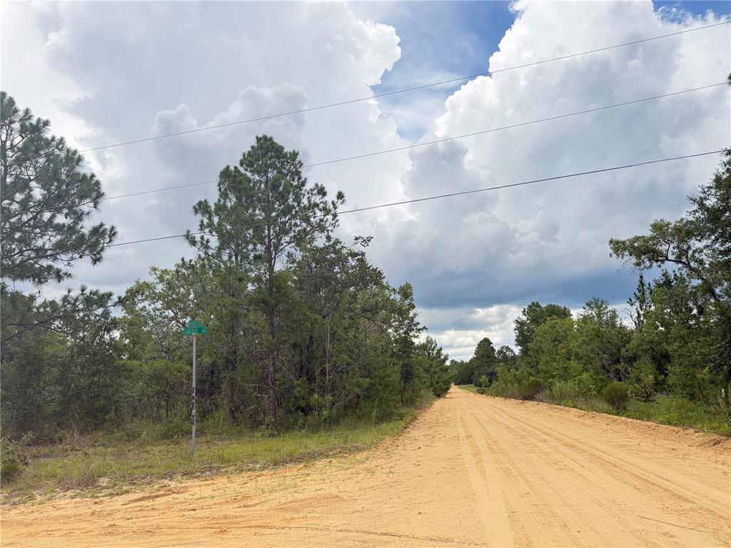A dirt road stretches into the distance past a wooded lot with a street sign — 100 LINDA LANE, INTERLACHEN, FL