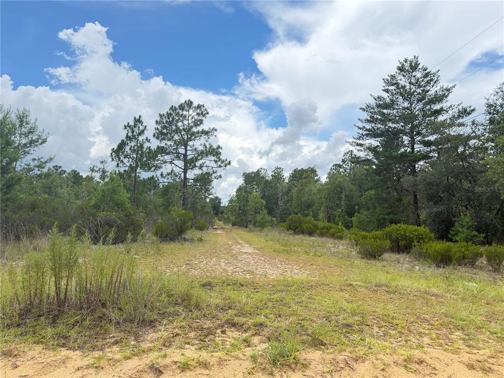 A dirt path leads through a grassy, wooded lot under a partly cloudy sky — 100 LINDA LANE, INTERLACHEN, FL