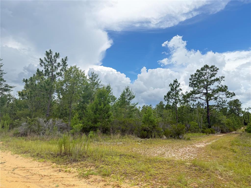 A dirt path leads toward a wooded area under a bright, cloudy blue sky — 100 LINDA LANE, INTERLACHEN, FL