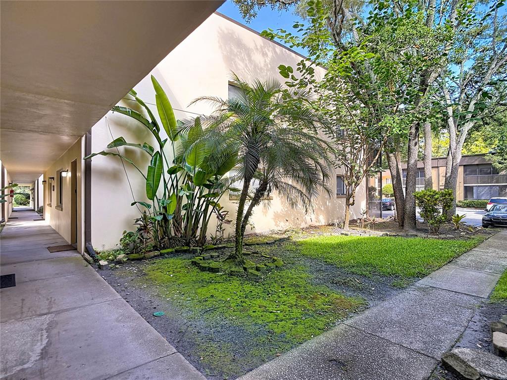 A covered walkway leads past a landscaped garden with a palm tree and tropical plants — 11805 RAINTREE LAKE LN UNIT B, TEMPLE TERRACE, FL