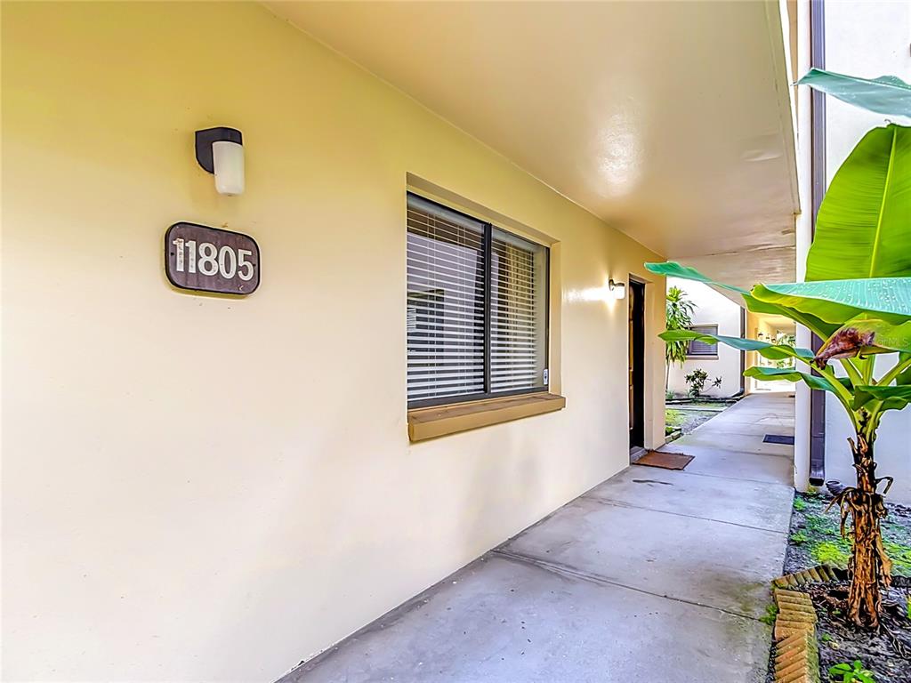 A concrete walkway leads past a window and a unit entrance with a house number — 11805 RAINTREE LAKE LN UNIT B, TEMPLE TERRACE, FL