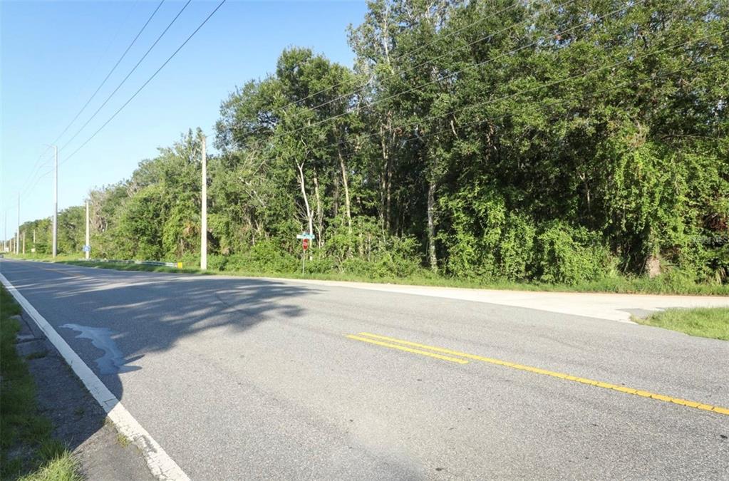 A paved road runs alongside a dense wooded area with utility poles and power lines — COUNTY ROAD 44, LEESBURG, FL