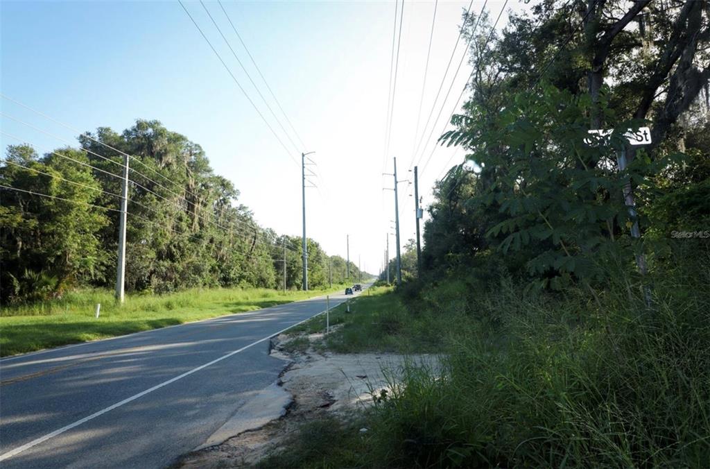 A paved road stretches into the distance, flanked by dense trees and utility poles — COUNTY ROAD 44, LEESBURG, FL