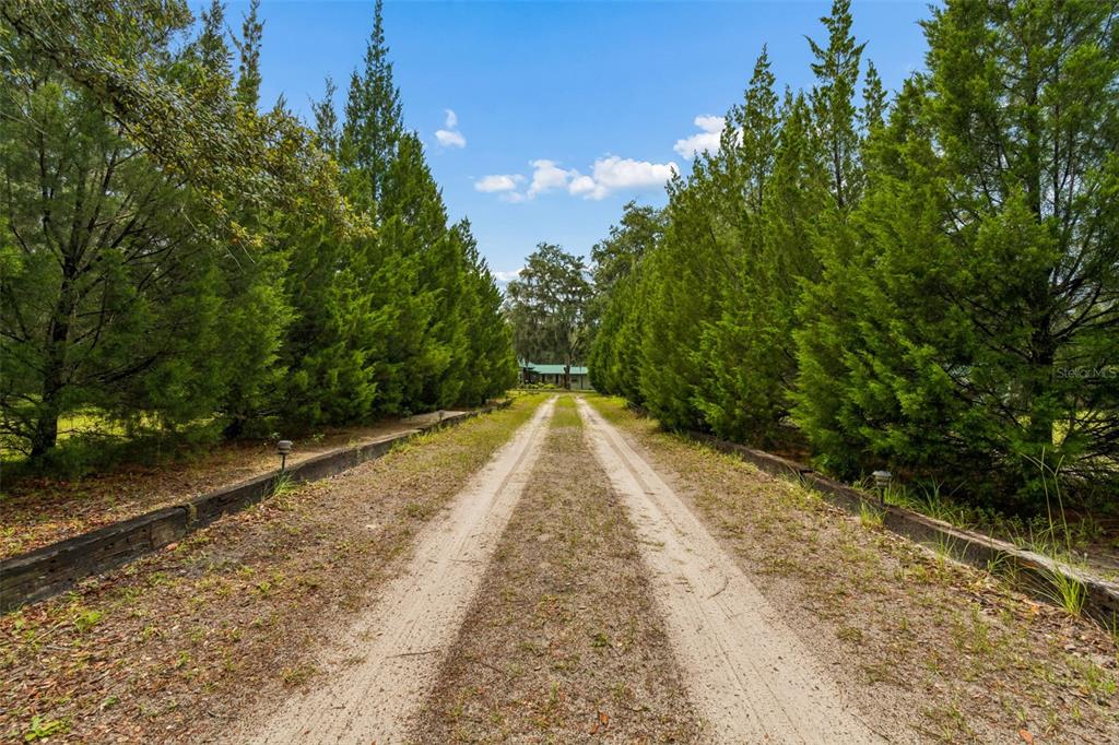 A dirt driveway lined with trees and wooden borders leads toward a house in distance — 11094 SW 51ST DRIVE, WEBSTER, FL