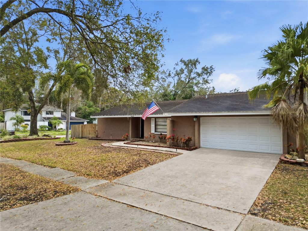 A single-story house with a brown stucco exterior, a two-car garage, and a front lawn — 4602 BUCKEYE ROAD, TAMPA, FL