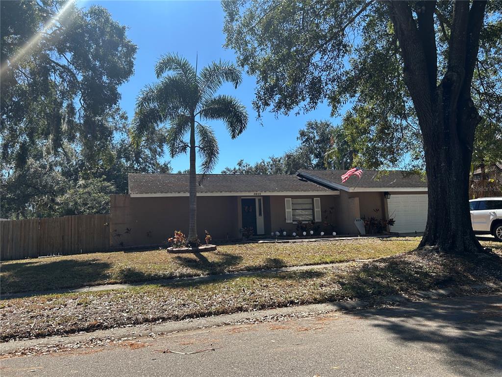 A single-story house with a palm tree, a front lawn, and a garage — 4602 BUCKEYE ROAD, TAMPA, FL