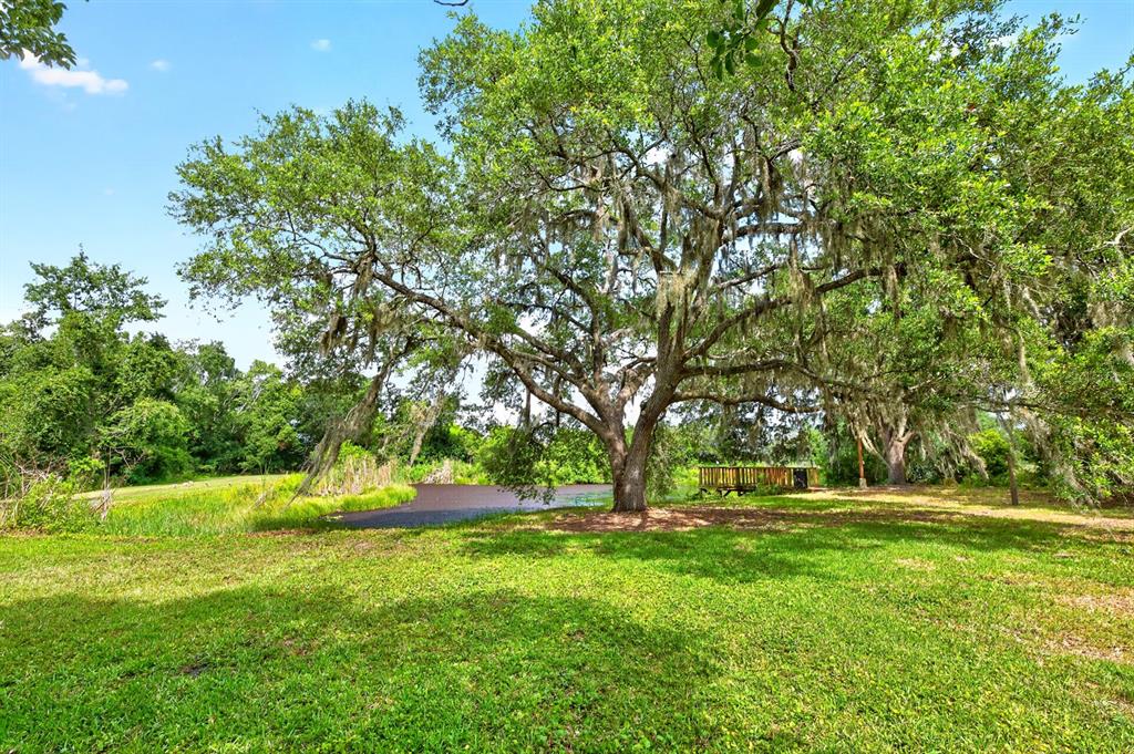 A large oak tree with Spanish moss stands in a grassy yard near a pond — 1600 E 10TH STREET, ST CLOUD, FL