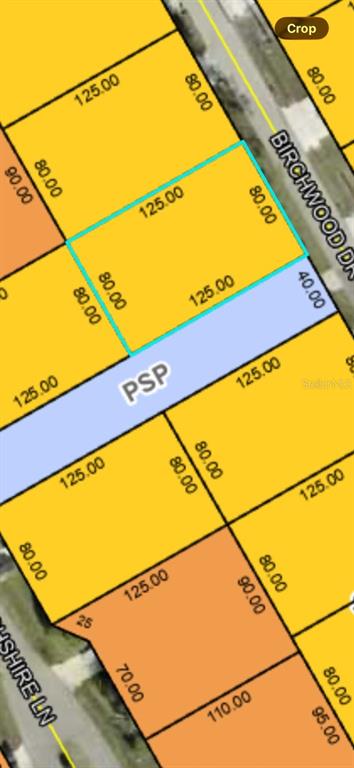 This is a tax map showing property lot lines and dimensions for a residential area — 60 BIRCHWOOD DRIVE, PALM COAST, FL
