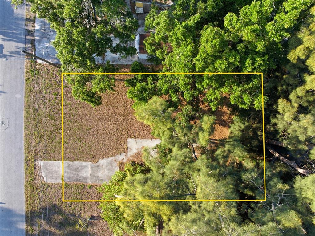 An aerial view shows a rectangular lot with a concrete slab and mature trees — 61ST LANE, PINELLAS PARK, FL