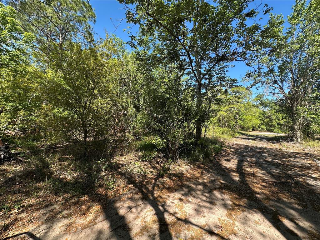 268 SPOONBILL DRIVE