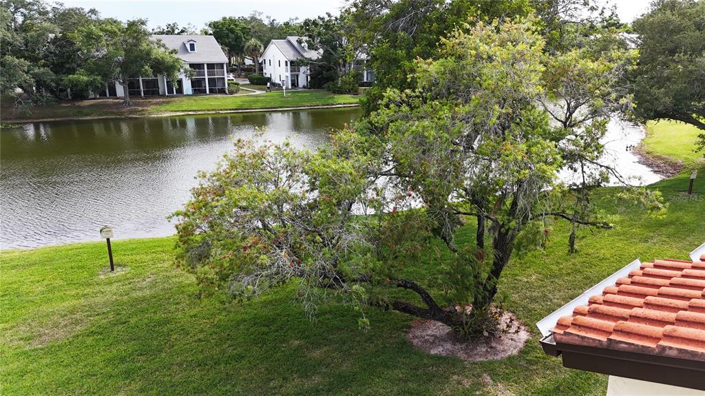 An elevated view of a grassy lawn, a pond, and residential buildings with trees — 5654 GARDENS DRIVE, SARASOTA, FL