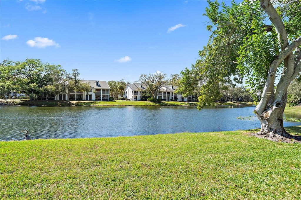 A grassy lawn overlooks a pond with apartment buildings in the background under a blue sky — 5654 GARDENS DRIVE, SARASOTA, FL