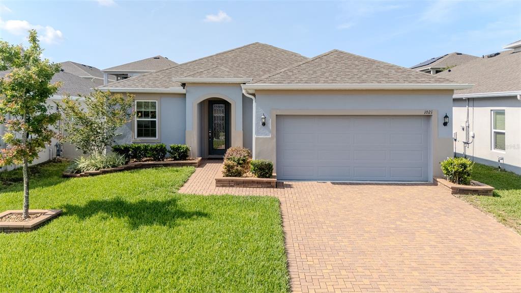 1021 GOLDEN DAWN LOOP
