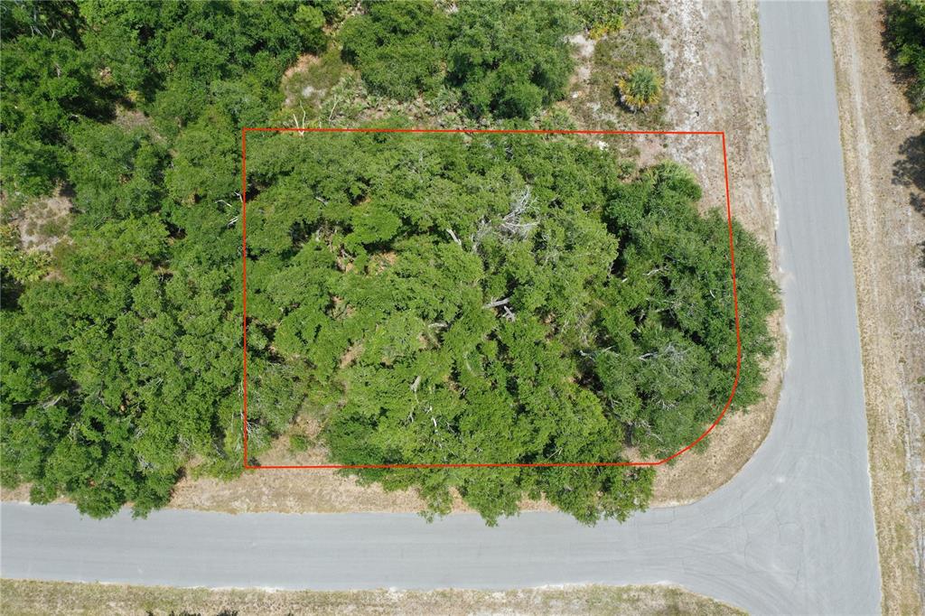 An aerial view shows a wooded, rectangular lot outlined in red beside a paved road — Lot 11 BRIXTON TERRACE, NORTH PORT, FL