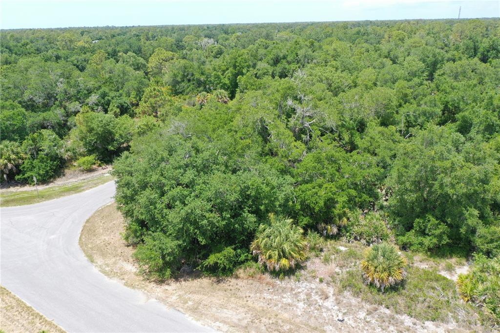 An aerial view shows a paved road curving past a dense, wooded lot — Lot 11 BRIXTON TERRACE, NORTH PORT, FL