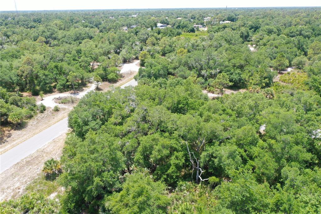 An aerial view shows a paved road winding through a dense, wooded residential lot — Lot 11 BRIXTON TERRACE, NORTH PORT, FL