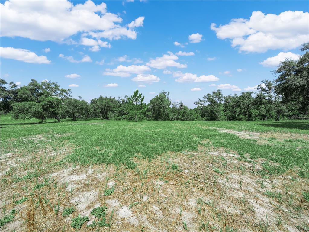 A grassy, partially cleared lot features scattered trees under a bright blue sky — 1202 R E BYRD RD, FROSTPROOF, FL