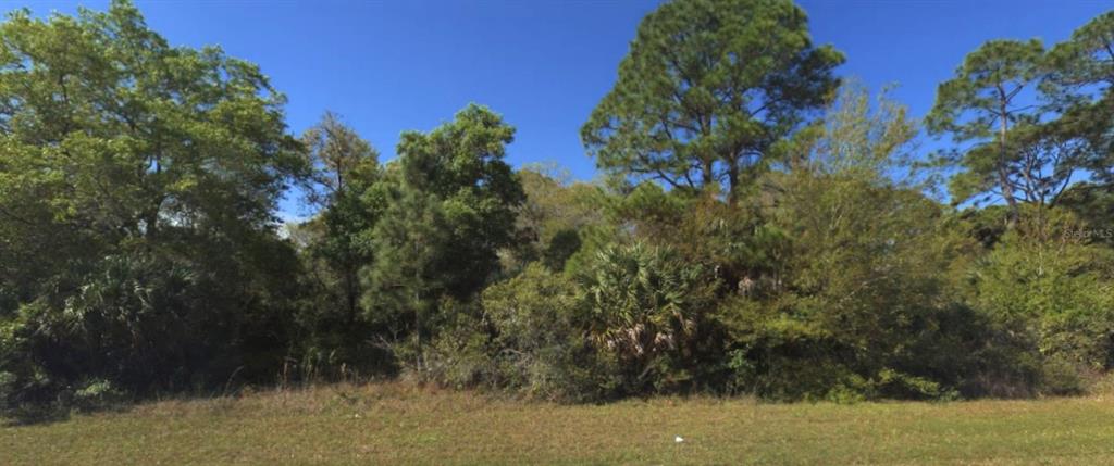 A view of a grassy lot bordered by dense trees and native Florida vegetation — 1573, 1565 & 1557 BISCAYNE DRIVE, PORT CHARLOTTE, FL