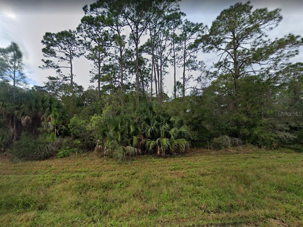 A grassy field sits in front of a dense line of tall pine and palm trees — 1573, 1565 & 1557 BISCAYNE DRIVE, PORT CHARLOTTE, FL