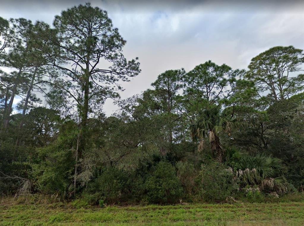 A dense wooded lot with tall pine trees and thick underbrush under a cloudy sky — 1573, 1565 & 1557 BISCAYNE DRIVE, PORT CHARLOTTE, FL