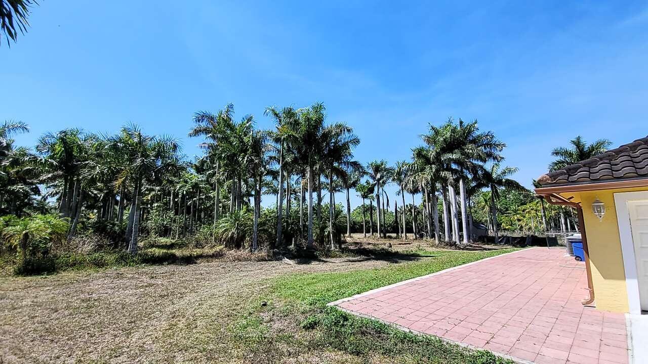 A paved patio sits beside a yellow house exterior with a view of tall palm trees — 4095 Windmill Road, Loxahatchee FL 33470, LOXAHATCHEE, FL