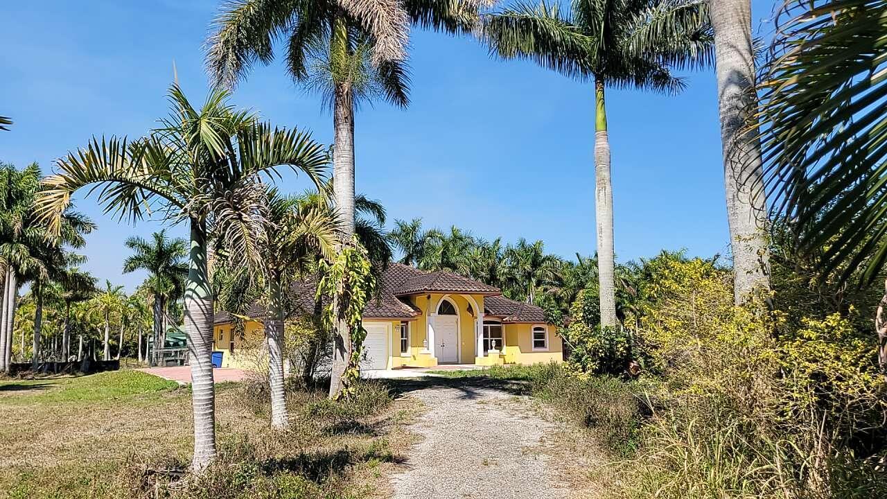 A yellow house with a gravel driveway is surrounded by many tall palm trees — 4095 Windmill Road, Loxahatchee FL 33470, LOXAHATCHEE, FL