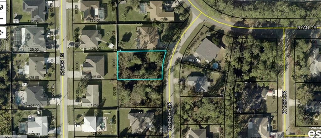 This is an aerial map showing a vacant, wooded residential lot outlined in blue — 4 RYBERRY DRIVE, PALM COAST, FL