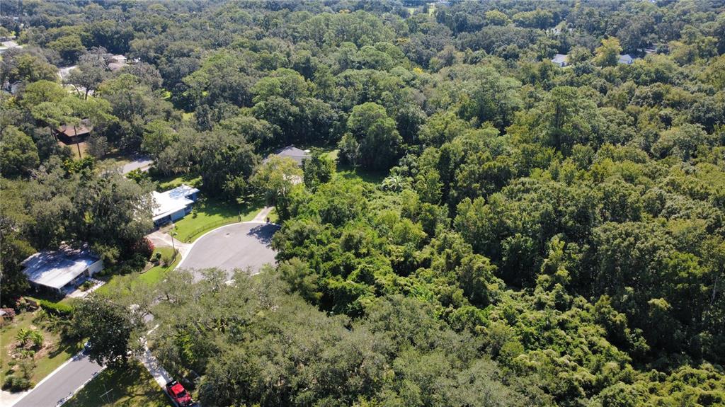 An aerial view shows a suburban cul-de-sac surrounded by dense, mature trees and greenery — 2016 GRANDVIEW AVENUE N, SANFORD, FL