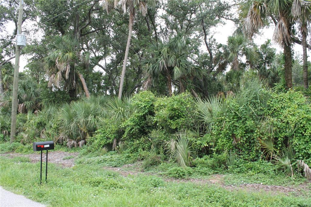 A dense, wooded lot with a mailbox stands beside a paved road — 18106 SINATRA AVENUE, PORT CHARLOTTE, FL