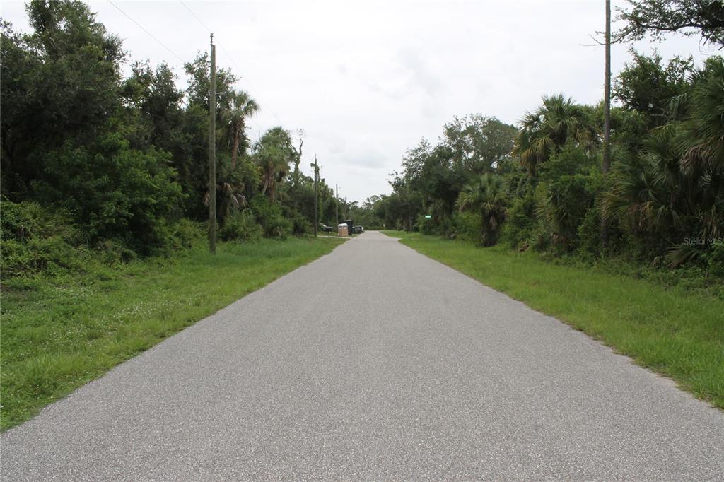A paved road stretches into the distance, flanked by dense trees and overgrown vegetation — 18106 SINATRA AVENUE, PORT CHARLOTTE, FL