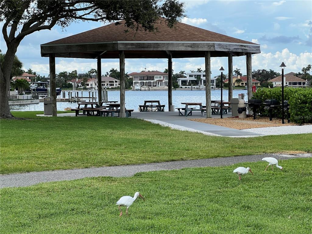 A park pavilion with picnic tables sits near a waterfront with birds on the lawn — 4900 BRITTANY DRIVE S UNIT 305, ST PETERSBURG, FL