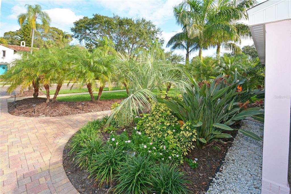 A landscaped garden with palm trees and flowering shrubs sits beside a paved walkway — 7020 MANGO AVENUE S, ST PETERSBURG, FL