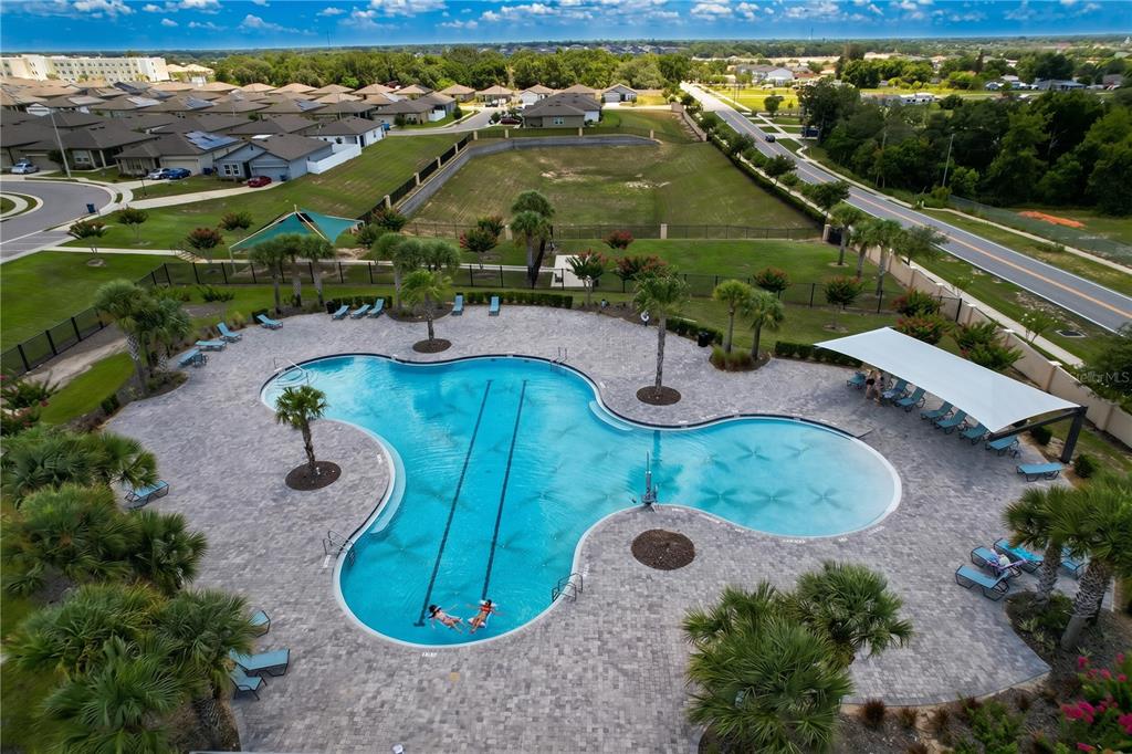 An aerial view shows a community swimming pool with lounge chairs and palm trees — 148 LUDISIA LOOP, DAVENPORT, FL