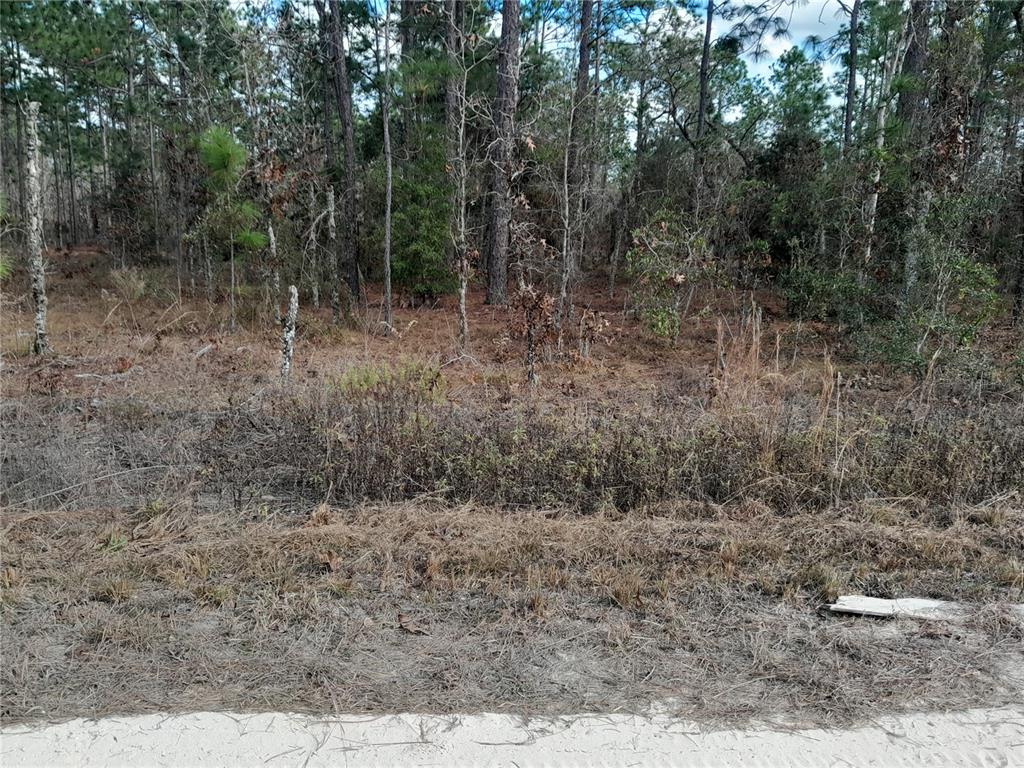 tbd NE 150TH AVENUE, WILLISTON, FL — photo 4 of 5