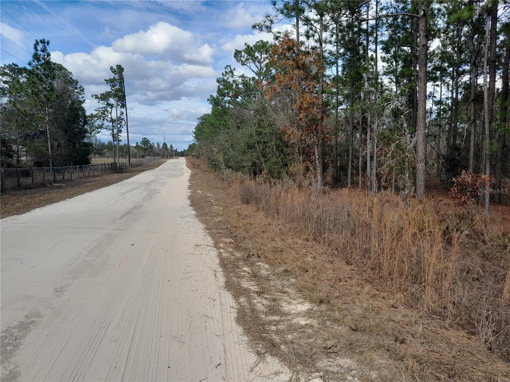 tbd NE 150TH AVENUE, WILLISTON, FL — photo 5 of 5