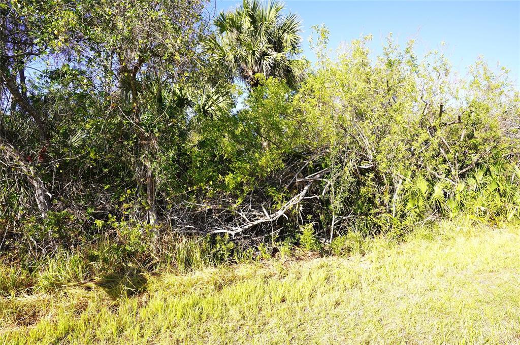 A view of dense green trees, shrubs, and palm trees bordering a grassy field — 1100 MARCH DRIVE, PORT CHARLOTTE, FL