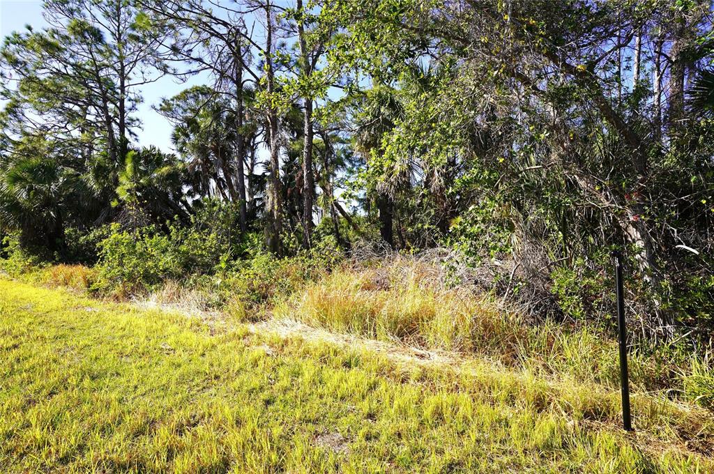 A grassy lot features dense trees and vegetation under a clear blue sky — 1100 MARCH DRIVE, PORT CHARLOTTE, FL