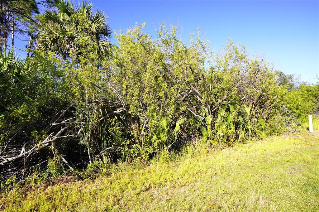 A dense thicket of green shrubs and palm trees borders a patch of mowed grass — 1100 MARCH DRIVE, PORT CHARLOTTE, FL