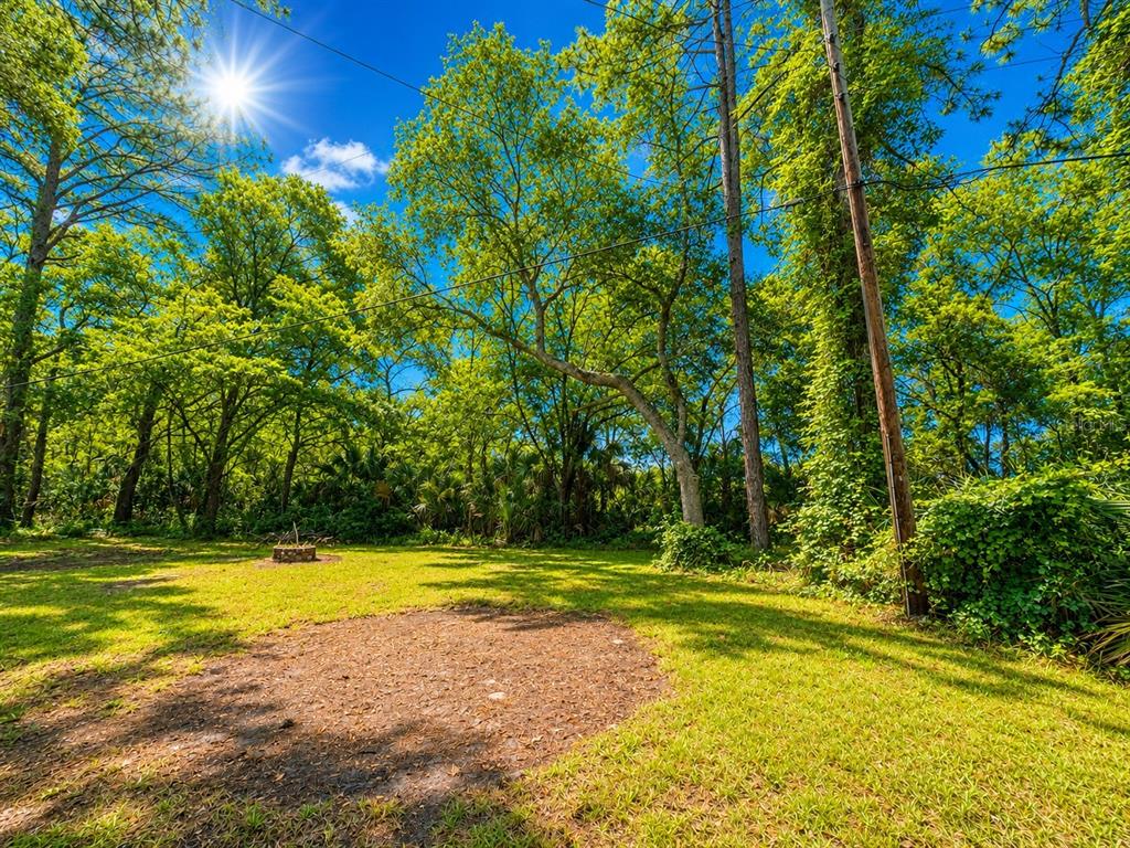 A grassy backyard features a fire pit, a circular dirt patch, and tall surrounding trees — 8588 W WINGS LANE, CRYSTAL RIVER, FL