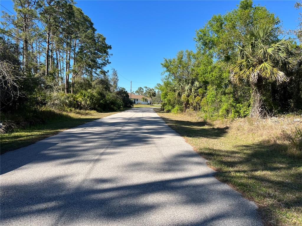 A paved road stretches through a wooded area toward a distant house under a clear sky — FEARS STREET, NORTH PORT, FL