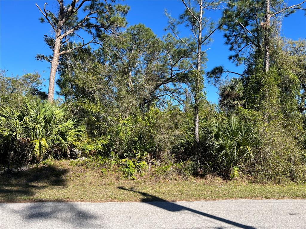 A vacant, wooded lot with tall pine trees and palmetto bushes borders a paved road — FEARS STREET, NORTH PORT, FL